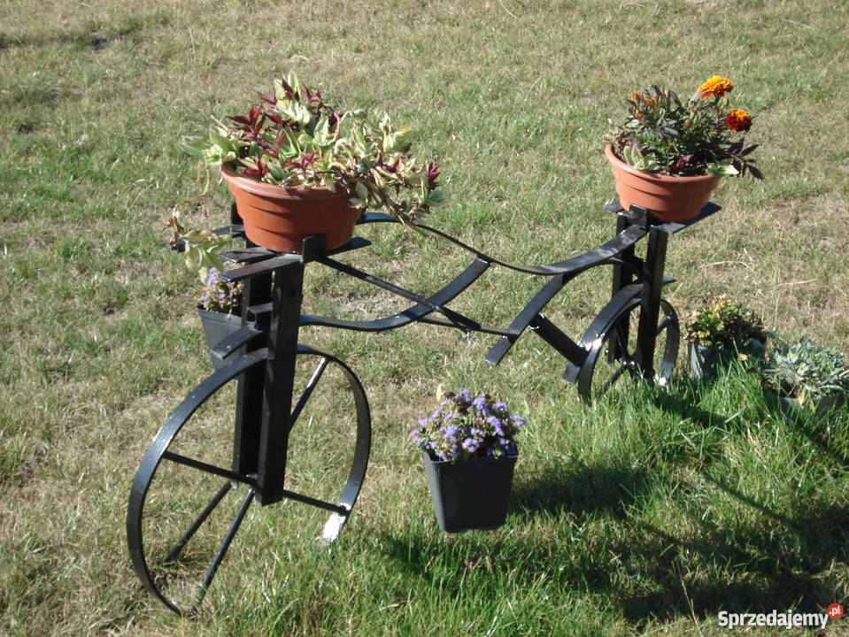 Kwietnik rower 3ka waga 11 świętokrzyskie Jędrzejów