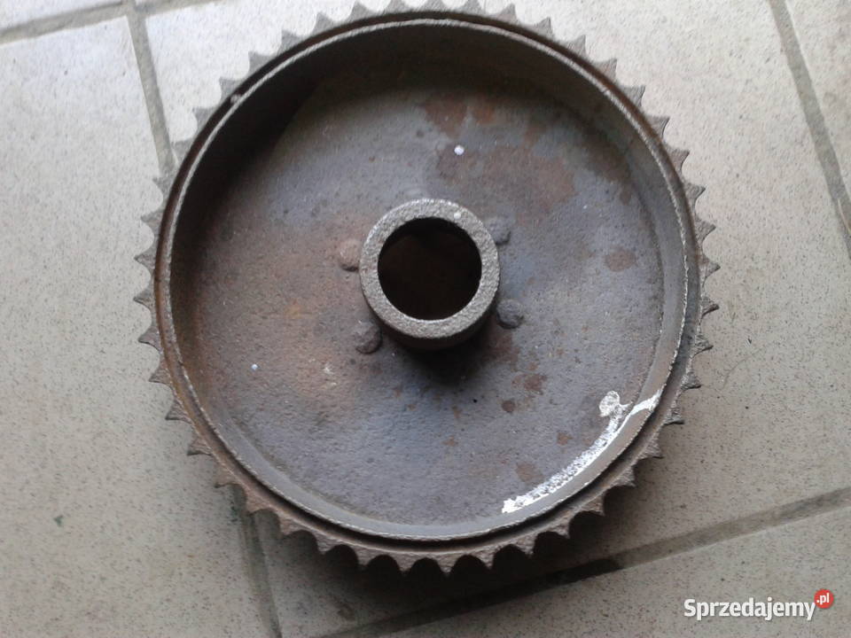 sOKOL 1000 600 ZEBATKA TYL Bielsko-Biała