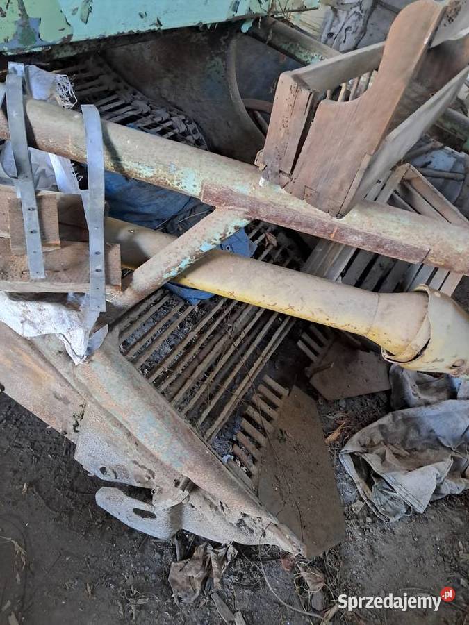 Kopaczka elewatorowa do ziemniaków Lublin