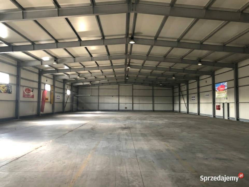 Kompleks hal produkcyjno magazynowych 3 577 m Rypin sprzedam