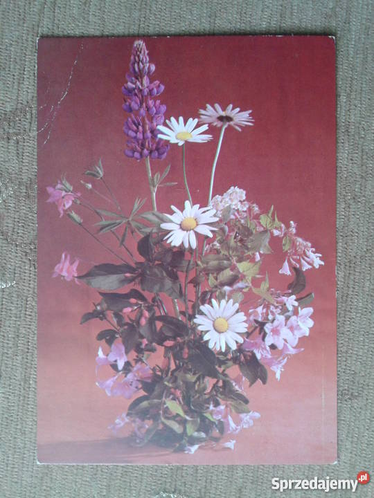 KWIATY FOT ROSIKOŃ Piszczac