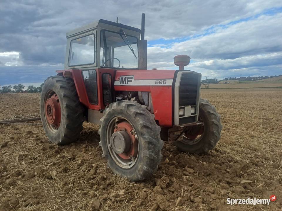 Massey Ferguson 595 Radzyń Chełmiński
