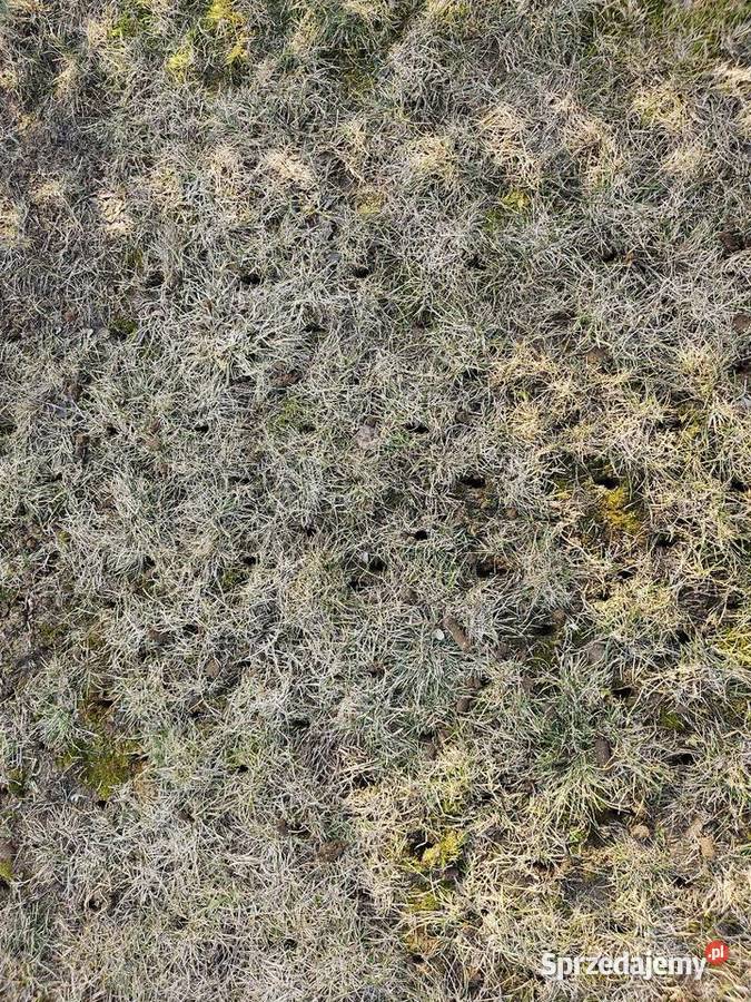 Aerator rurkowy Wiedenmann PerfoSeeder Góra Kalwaria sprzedam