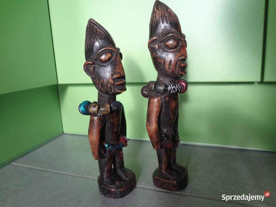 Plemię Afrykańskie Wrocław sprzedam