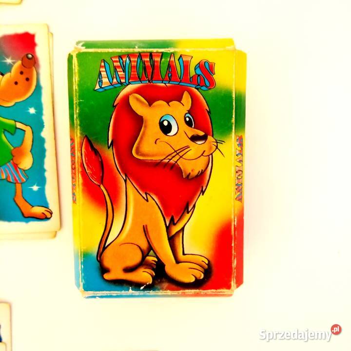 Gra Animals ćwiczenie pamięci spostrzegawczości łódzkie