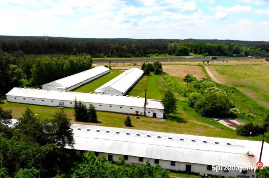 Sprzedam 4 hale 5200m2 S3 Skwierzyna