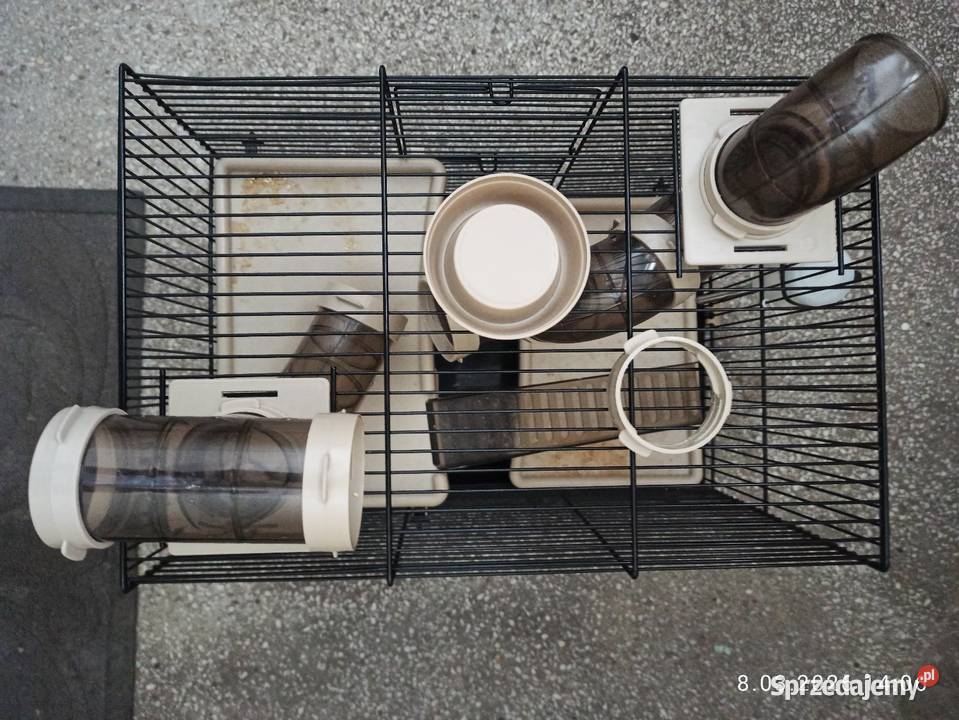 Klatka na gryzonie Koszalin