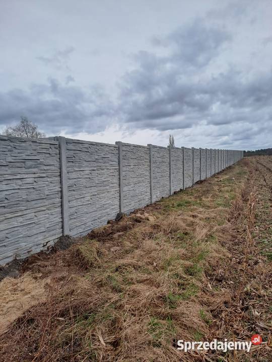 Ogrodzenia betonowe Producent Montaż Wałbrzych