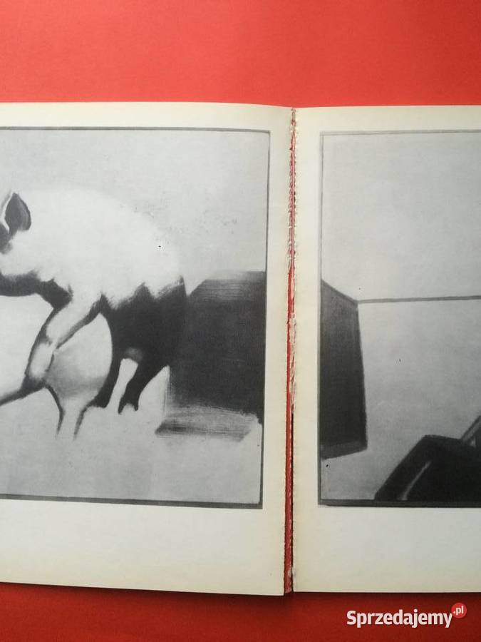 2358 XI Festiwal Polskiego Malarstwa Szczecin