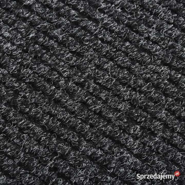 Dywanik pochłaniający zabrudzenia 100x400