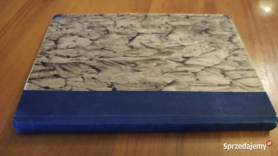 Wykłady o filozofii średniowiecznej Leszek pomorskie Gdańsk