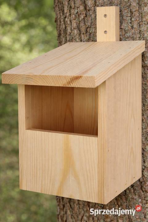 Budki ptaków Budki lęgowe i karniki kujawsko-pomorskie Pruszcz