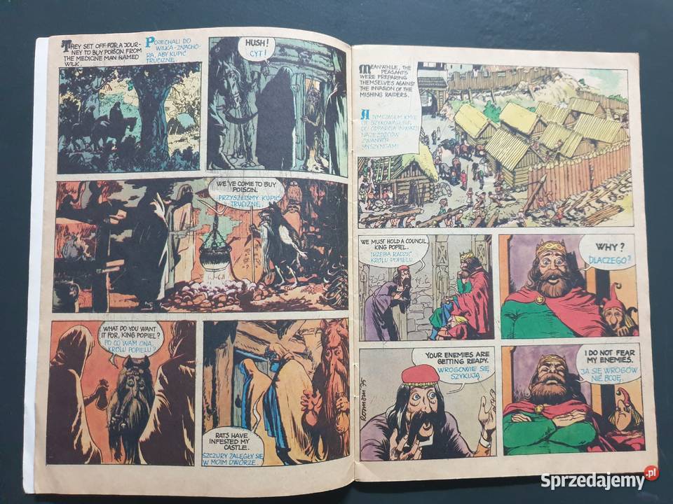 Opowieść o Popielu i Myszach jęz angielski