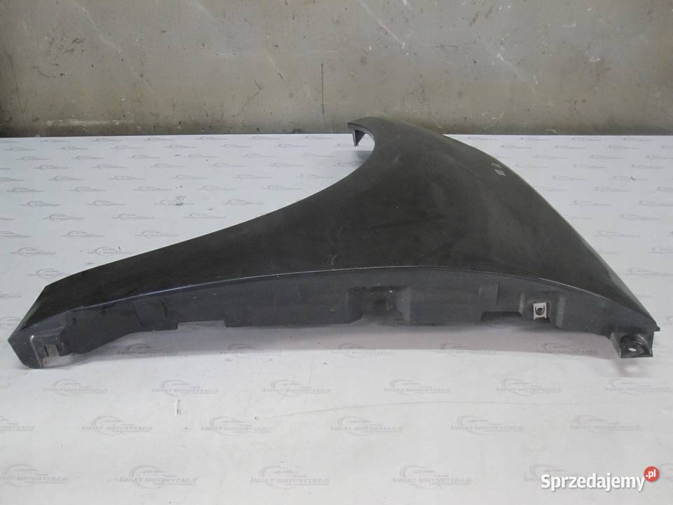 RENAULT SCENIC III 10r błotnik lewy przód świętokrzyskie