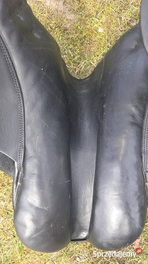 Siodło jeździeckie Felsbach AG Summaprada Dla koni Milicz