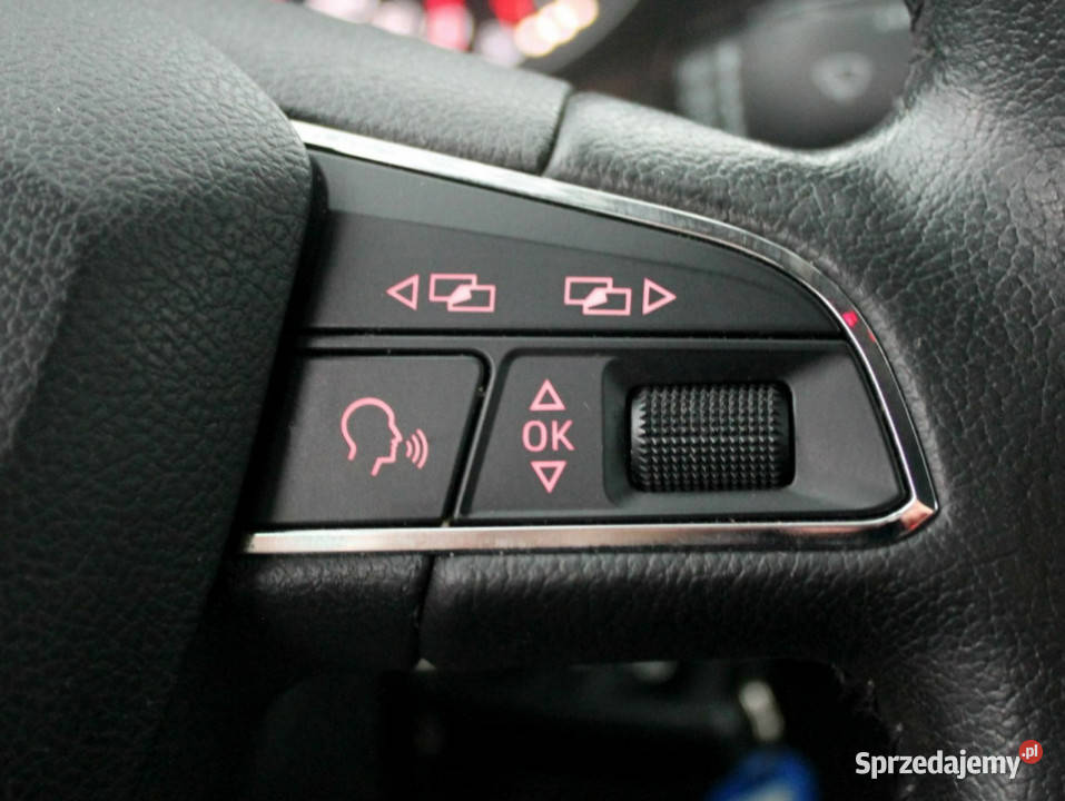 Seat Leon 16 TDI 105 Klimatronik TELEFON czujnik zmierzchu pomorskie Zielenin