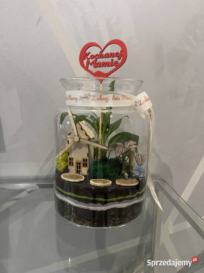 Las w szkle GOTOWA KOMPOZYCJA PREZENT Z Oborniki Śląskie