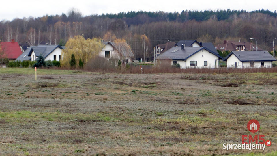 Grunt Tołcze 1000m2 sprzedam
