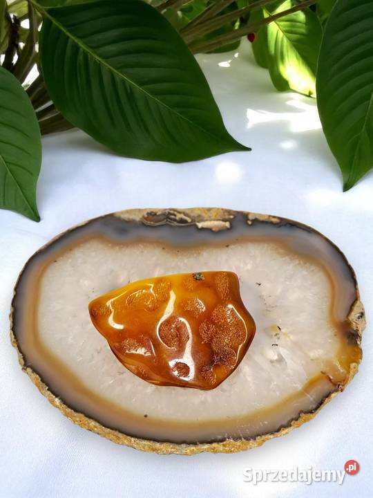 Broszka z bursztynu bursztyn bryłka 1493 Warszawa