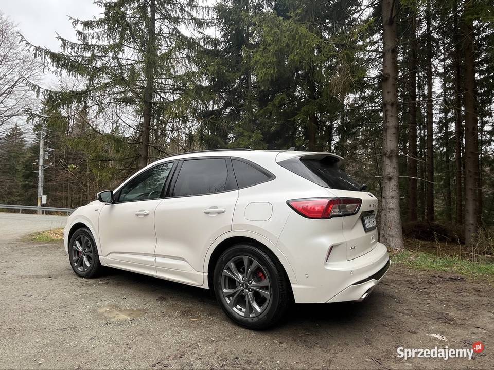 Ford Kuga MK3 STline salon bezwypadek 4x4 full dolnośląskie Kudowa-Zdrój