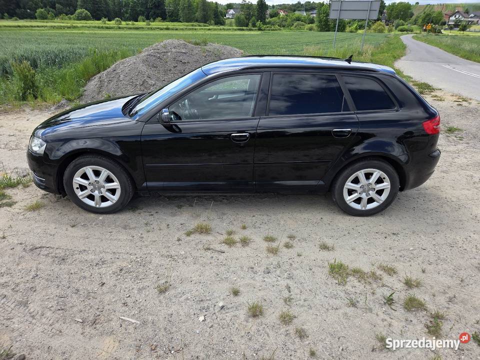 Audi A3 8P Sportback 16 TDI Zagrody sprzedam