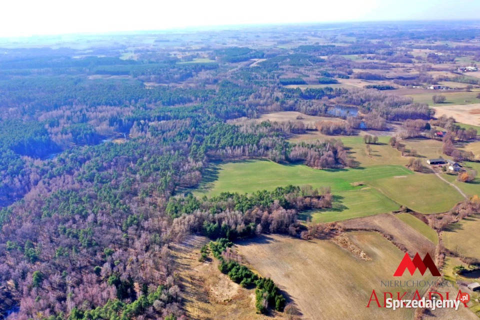sprzedaży działki 1678m2 Czerskie Rumunki sprzedam