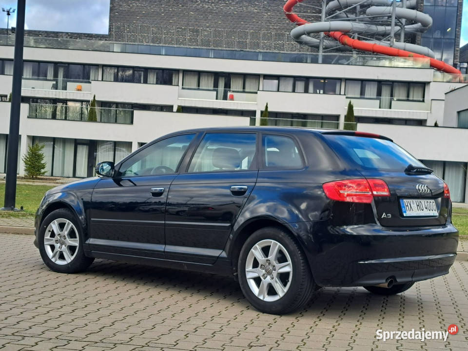 Audi A3 20 COMMON RAiL STAN KLiMAtronik halogeny Rok produkcji 2011 Olsztyn
