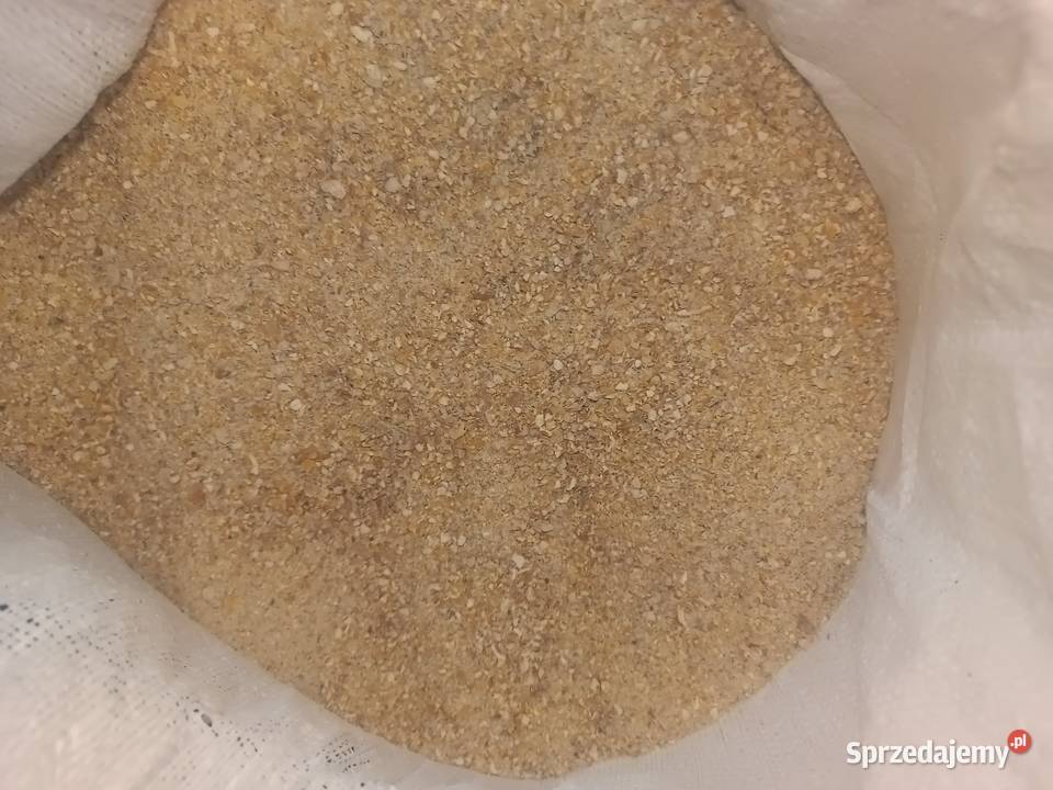 Kukurydza sucha i mielona Przenzyto przenica