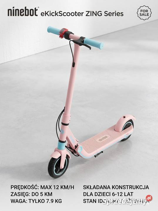 Hulajnoga Elektryczna SEGWAY Ninebot ZING E8 Doruchów