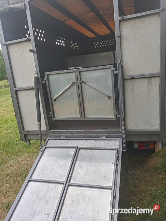 Bus do przewozu zwierząt Rzgów