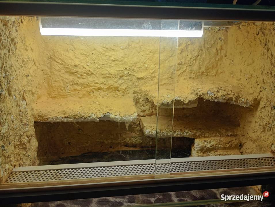 Terrarium Aleksandrów Kujawski