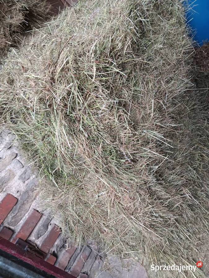 Siano w kostkach snopki