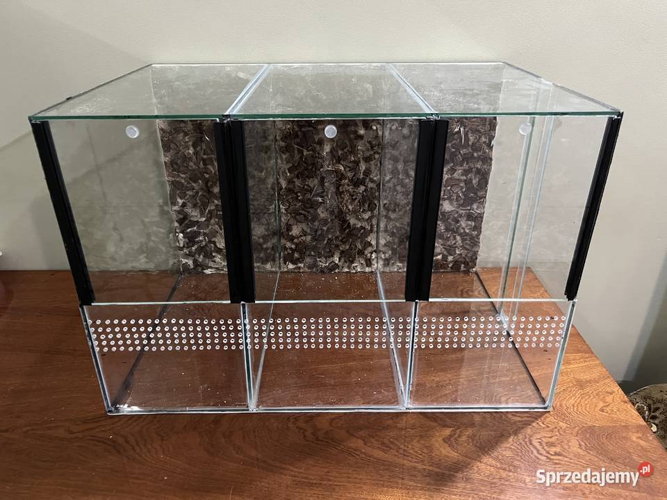 Sprzedam terraria