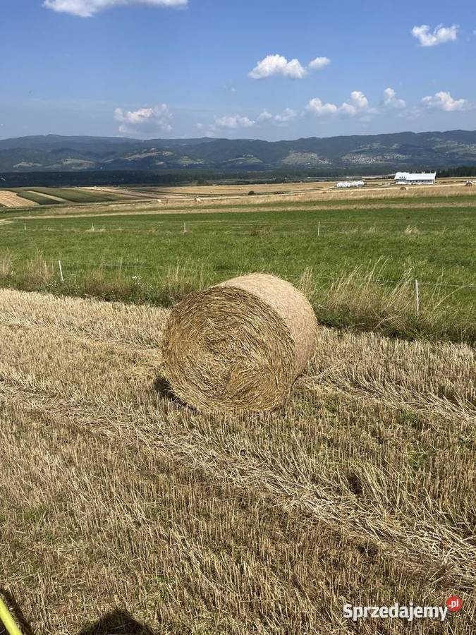 Bale sianokiszonki i slomy Hodowla i gospodarstwo małopolskie Nowy Targ