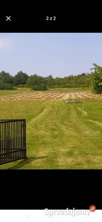 Sprzedam siano i słomę w kostkach Hodowla bydła Kielce