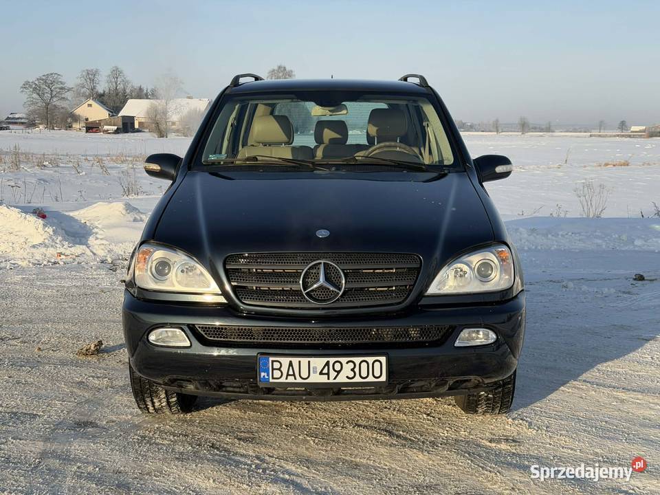 MercedesBenz W163 ML270 CDI lift polift