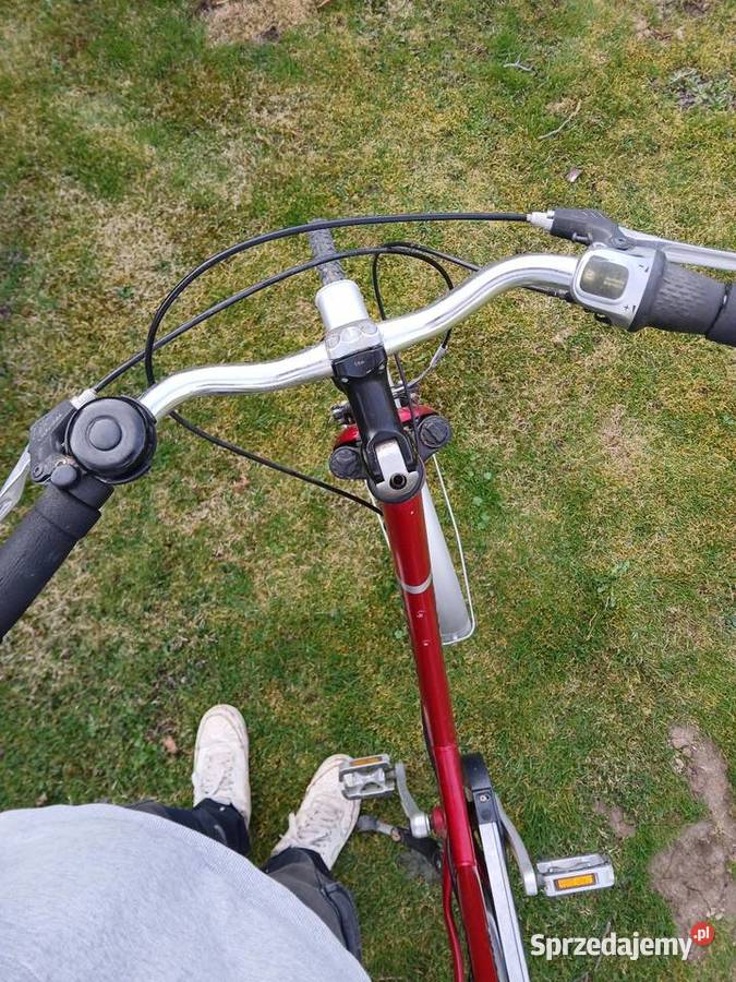 Rower Pegasus Opatów