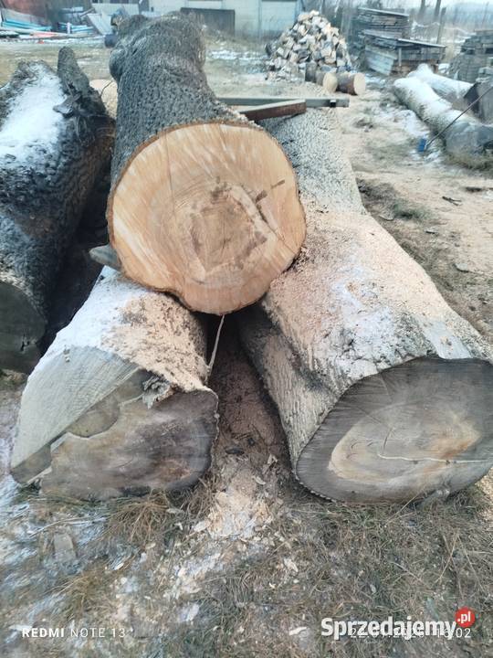 Deski jesion kłody Dąbie sprzedam