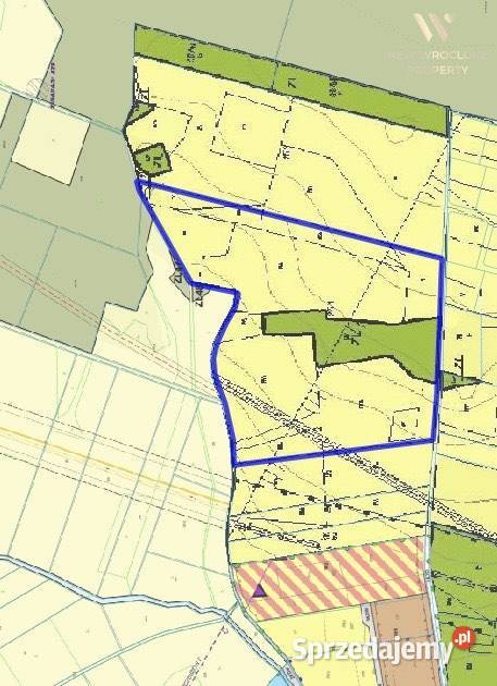 Działka rolna las Czeszów gmina Zawonia