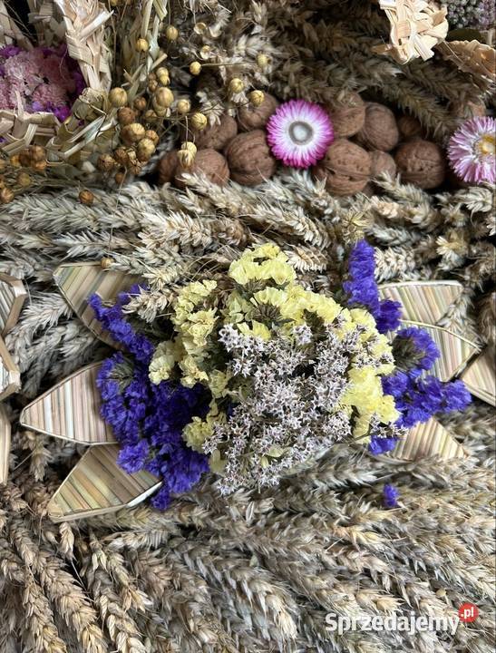 Wieniec dożynkowy 2025 Pozostałe Oława