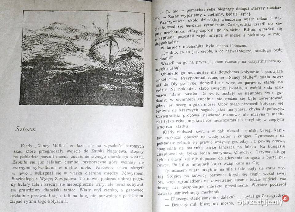 Złota rzeka Jewgienij Ustijew lubelskie Chełm sprzedam