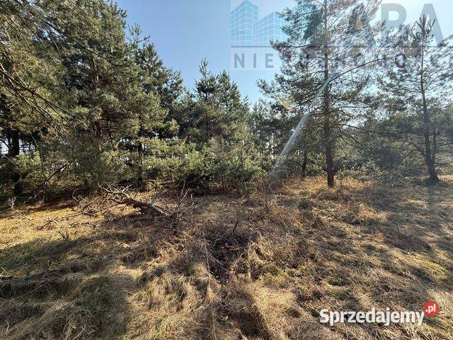 Na sprzedaż działka Niezgoda gm Słupca