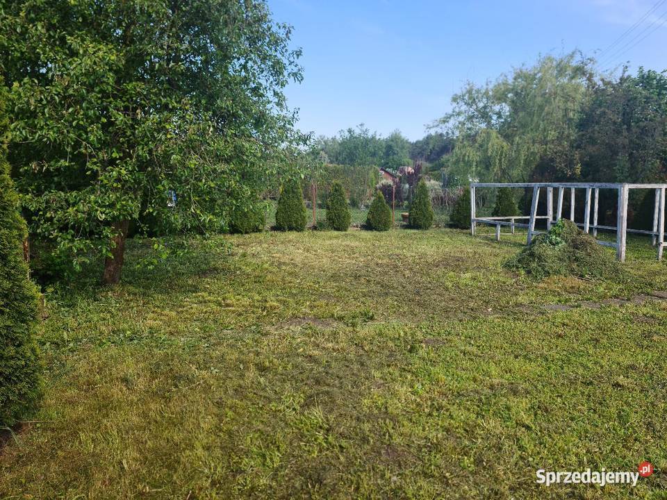Działka ROD im J Kilińskiego w Staszowie rekreacyjna Staszów sprzedam