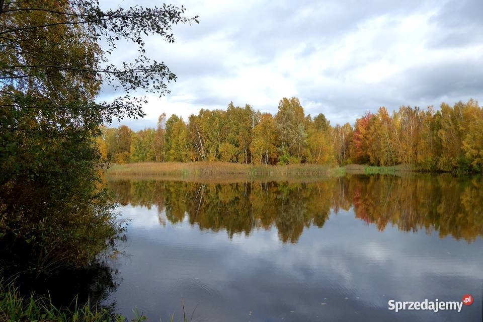 Panasonic Lumix DMCTZ70 30x opt12 łódzkie