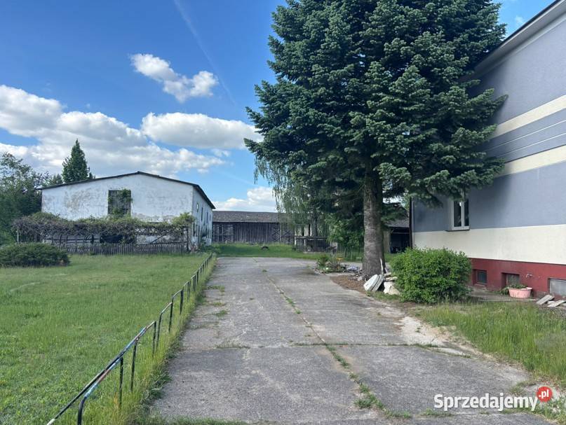 Siedlisko z dużym domem i zabudowaniami Błędnica
