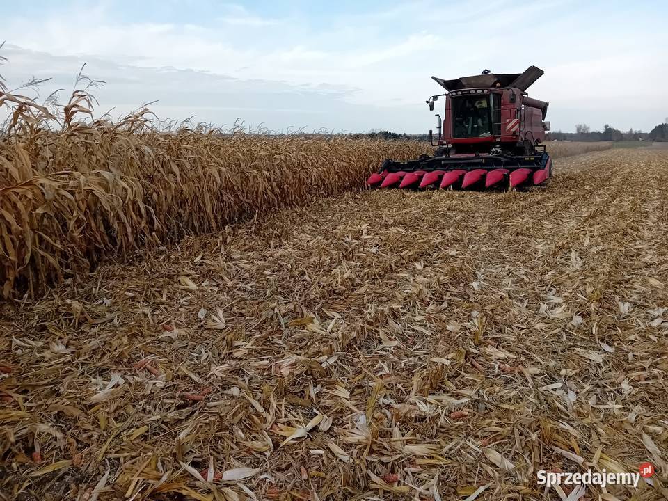 Przystawka do kukurydzy CAPELLO DIAMANT HS8 nowa lubelskie Biskupice