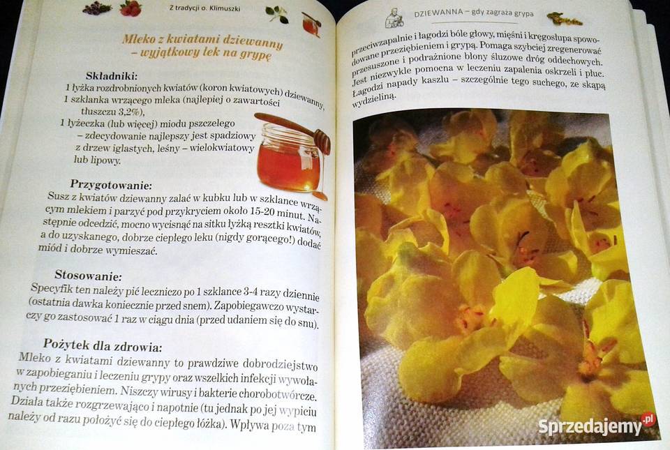 Ziołowa apteczka przeziębionych Zbigniew T Nowak miękka Chełm sprzedam