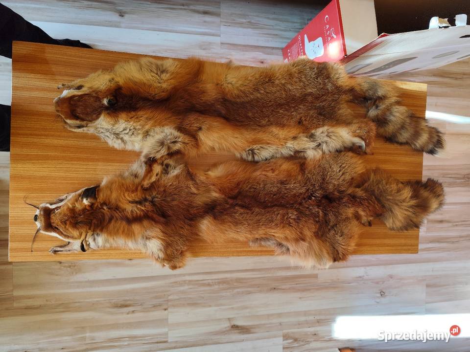 Skóry z llisa Pozostałe