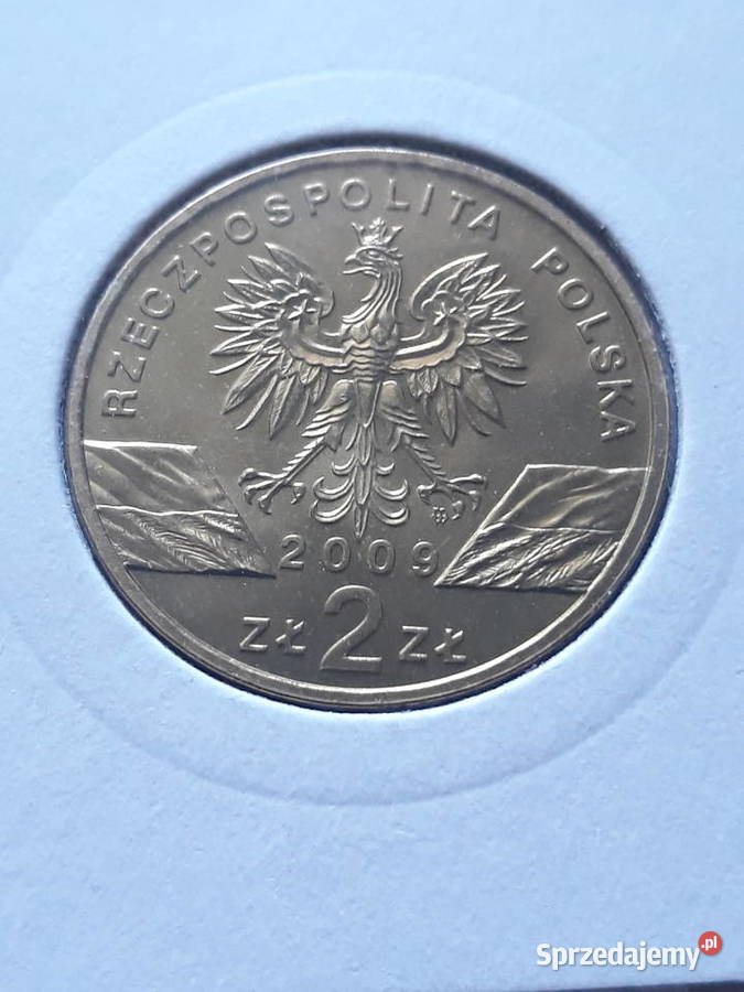 2 Jaszczurka Zielona2009 rUNC sprzedam