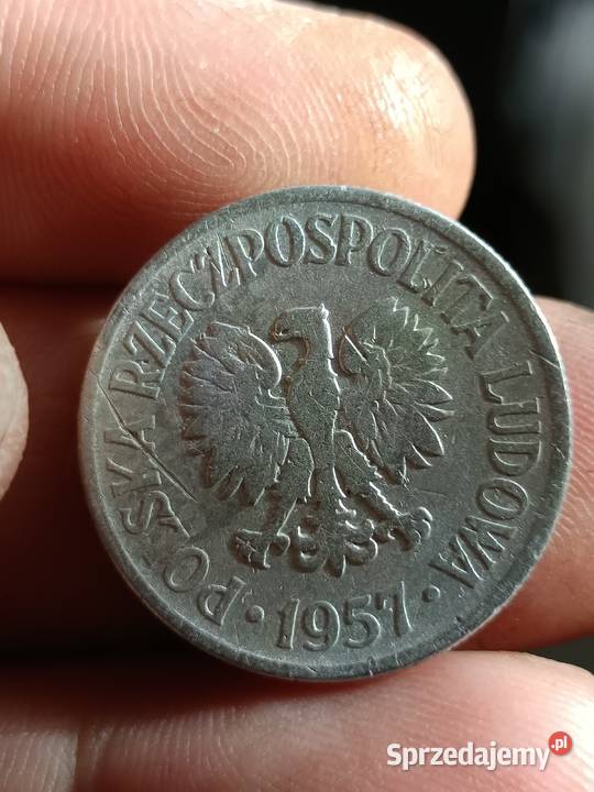 Sprzedam 50 gr 1957 r ncm Chełm